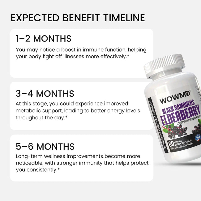 Black sambucus elderberry benefit timeline