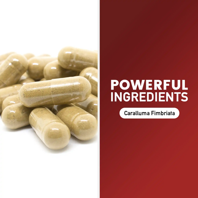 Caralluma max ingredient