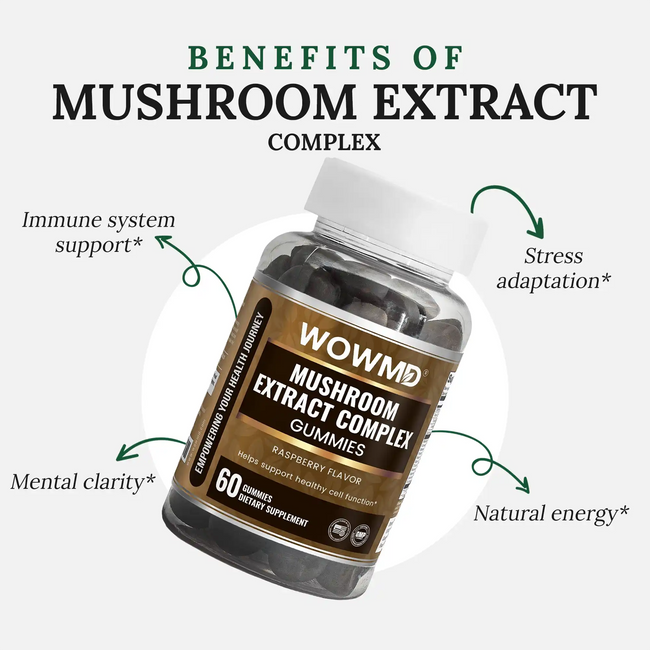 Mushroom extract complex benefits