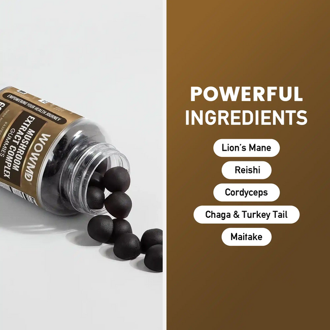 Mushroom extract ingredient