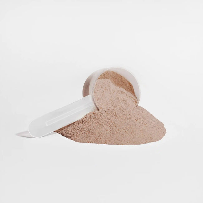 Plant protein chocolate image 3
